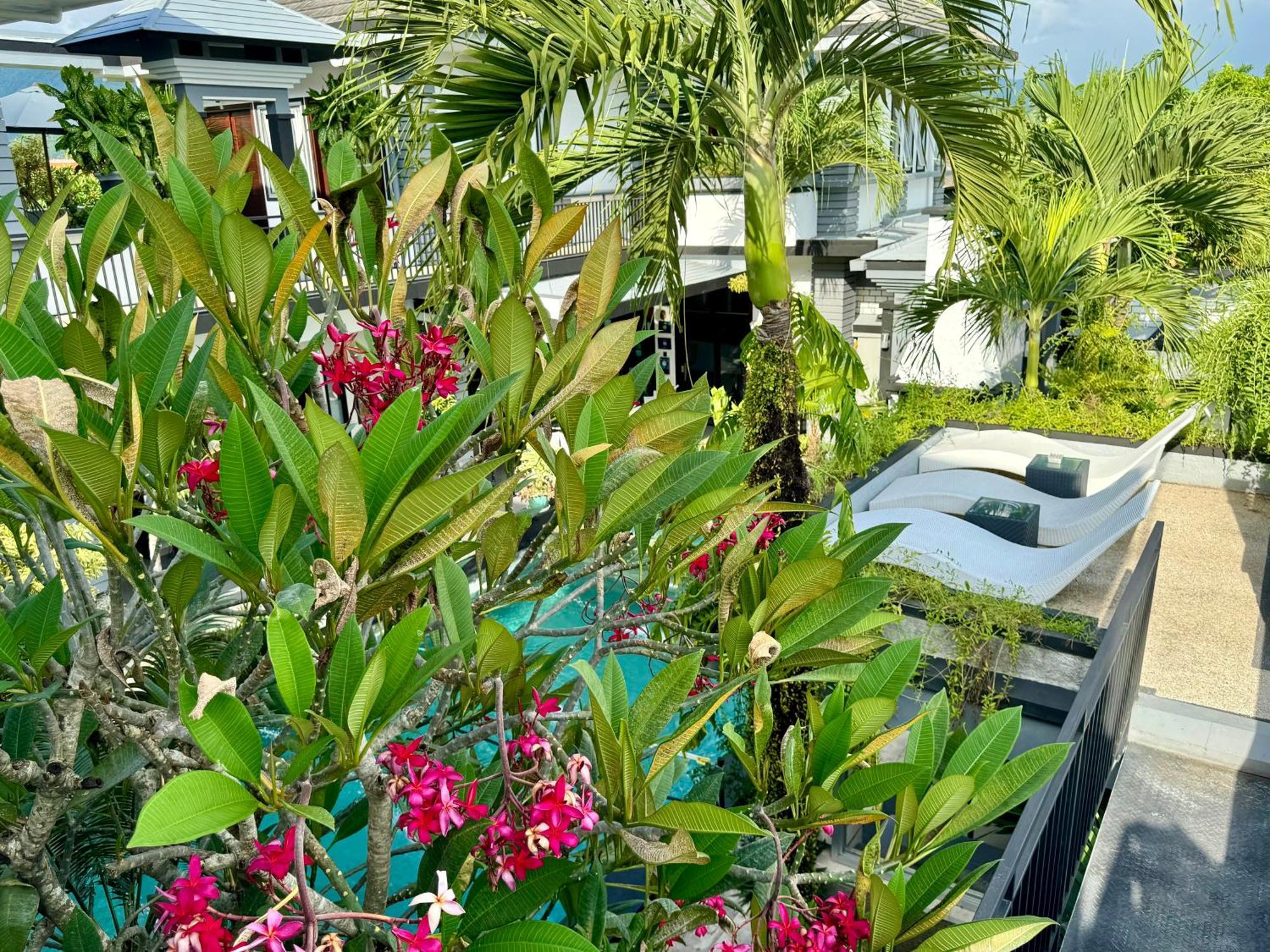 Villa Rumah Putih Abu Abu Senggigi Εξωτερικό φωτογραφία
